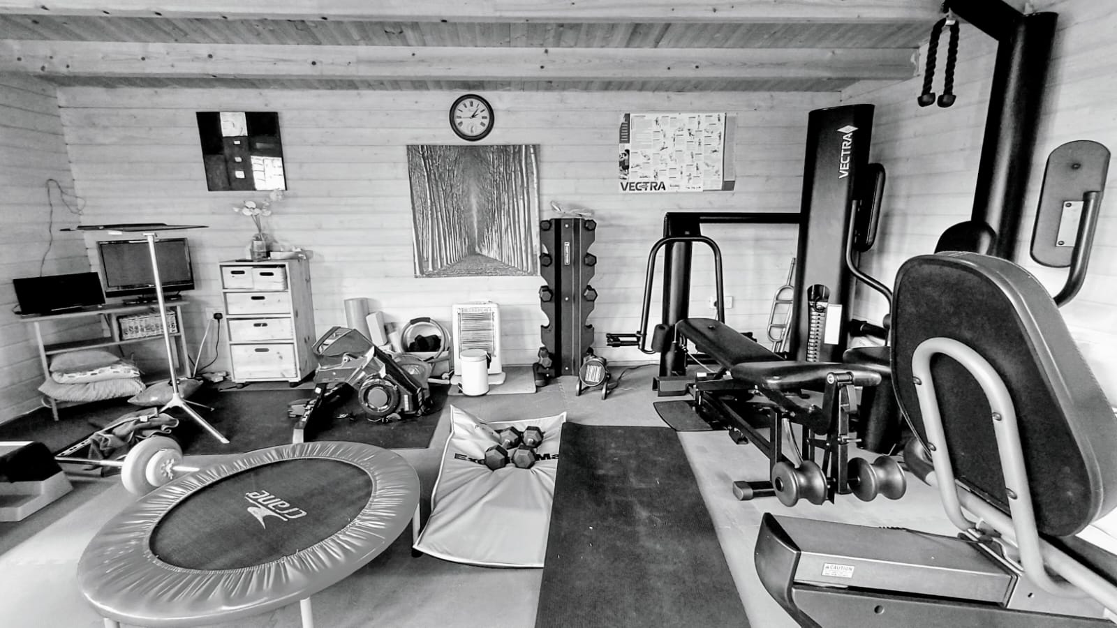 Black and white photo shows a messy home gym studio with equipment. The user wants to organise their gym and add vertical bike storage